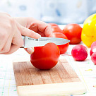 Овощной нож ELEGANCE 9 см (X50CrMoV15 сталь)