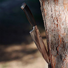 Поварской нож ELEGANCE 20 см (X50CrMoV15 сталь)