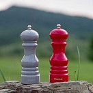 Мельница для соли и перца 17x6см (пластиковый корпус) Серый