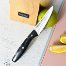 Набор ножей 3 пр TICINO (3Cr13 сталь)