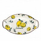 Форма для сервировки LIMONCELLO 27х16х5,7см фарфор