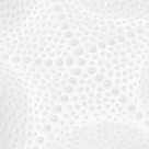 Блюдо SEA SHELL 20см (фарфор)