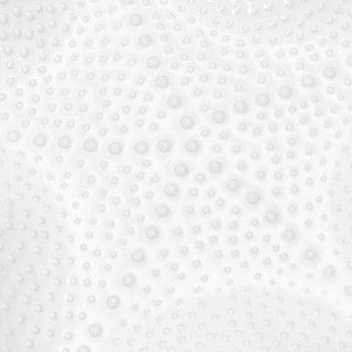 Блюдо SEA SHELL 20см (фарфор) Блюдо SEA SHELL 20см (фарфор)