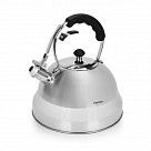 Чайник для кипячения воды ALBA 4,5л (нерж.сталь)