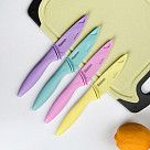 Нож разделочный CARAMELLA 10 см в чехле