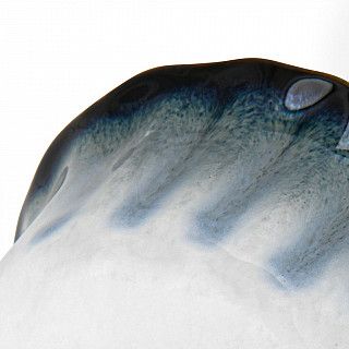 Креманка GALACTIC WAVES 9х6,5см (фарфор) Креманка GALACTIC WAVES 9х6,5см (фарфор)