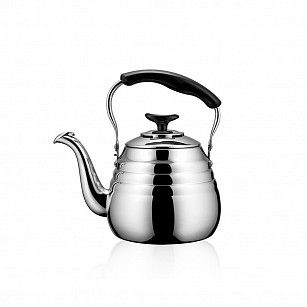 Чайник для кипячения воды DEAUVILLE 1 л (нерж. сталь)
