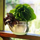 Миска 24x13,5 см / 4,5 л с крышкой (нерж. сталь)