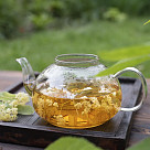 Чайник заварочный 600мл со стальным фильтром (стекло)