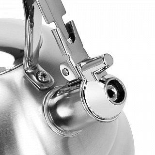 Чайник для кипячения воды ALBA 4,5л (нерж.сталь)