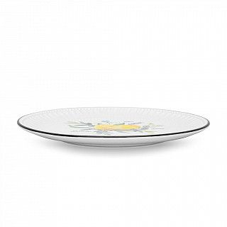 Набор из 2 тарелок PROVENCE 21 см (фарфор)