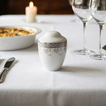 Солонка PLATINA, цвет белый (фарфор)