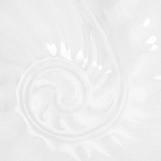 Миска SEA SHELL 12,5см (фарфор) Миска SEA SHELL 12,5см (фарфор)