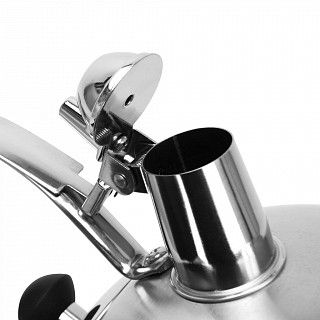 Чайник для кипячения воды ALBA 4,5л (нерж.сталь)